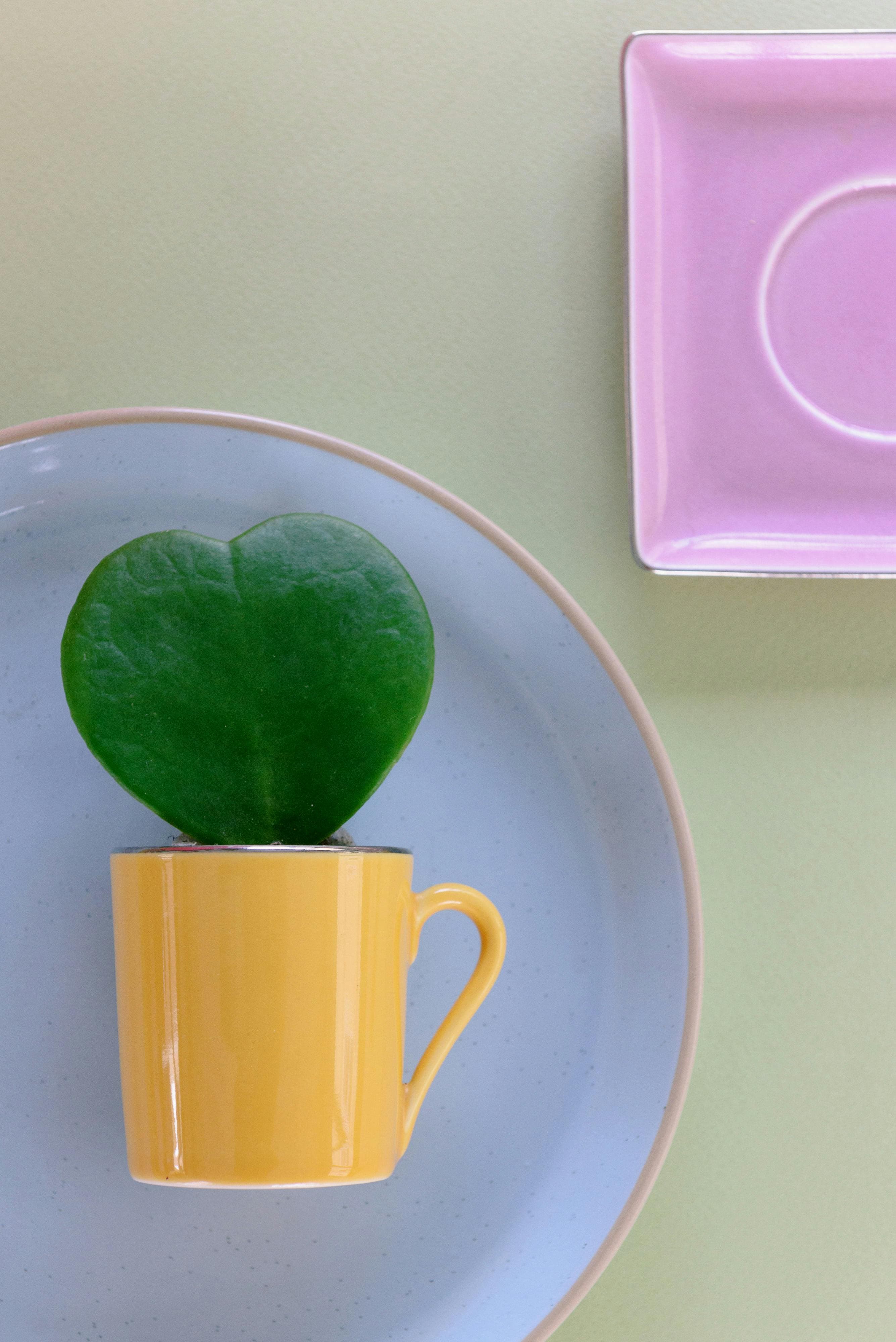 A heart-shaped leaf in a yellow mug on a ceramic plate with a pastel background.